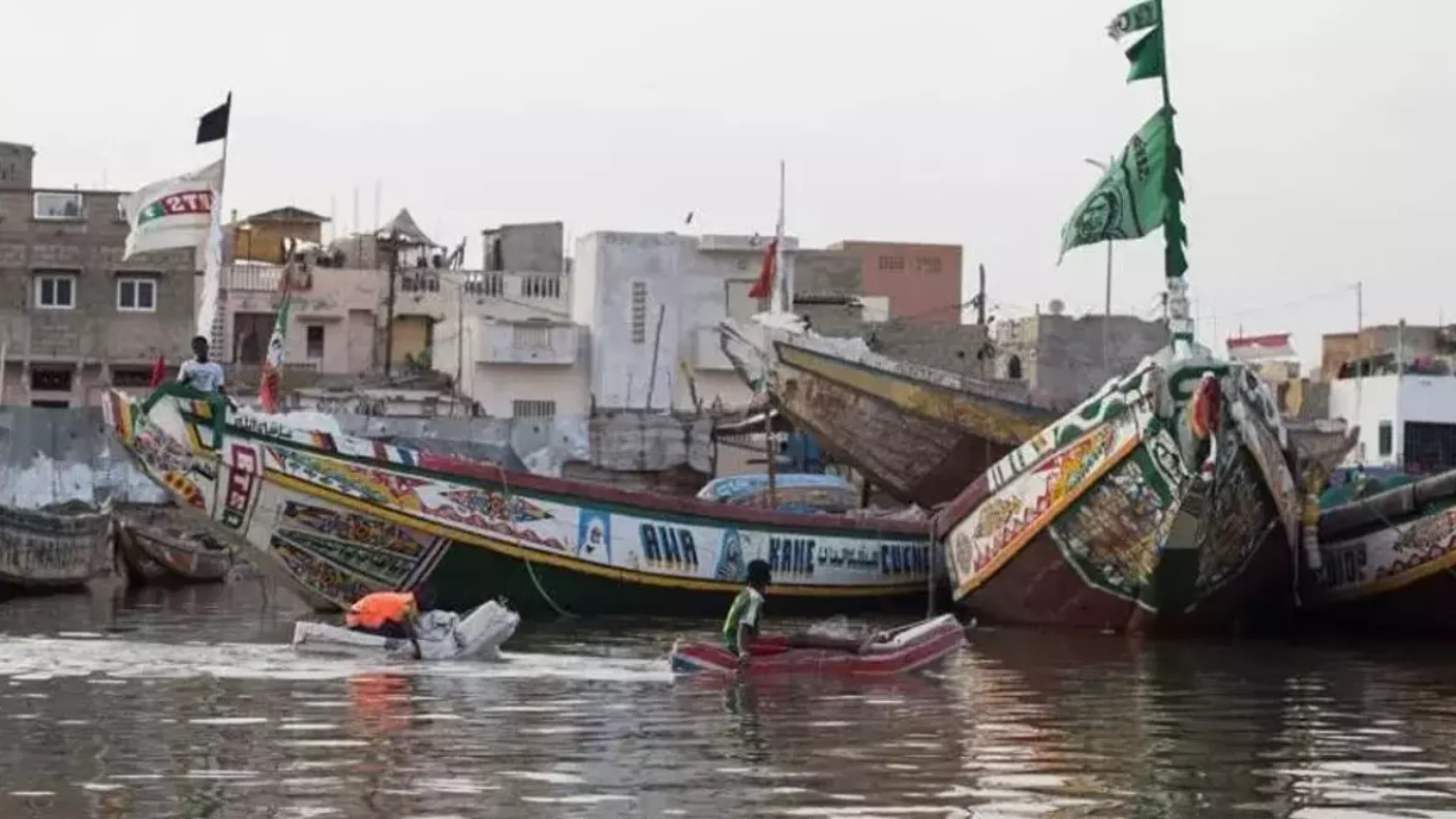 La migración es una consecuencia directa del "neocolonialismo" europeo.