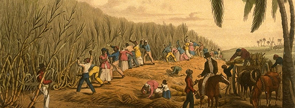Efectos de la colonización