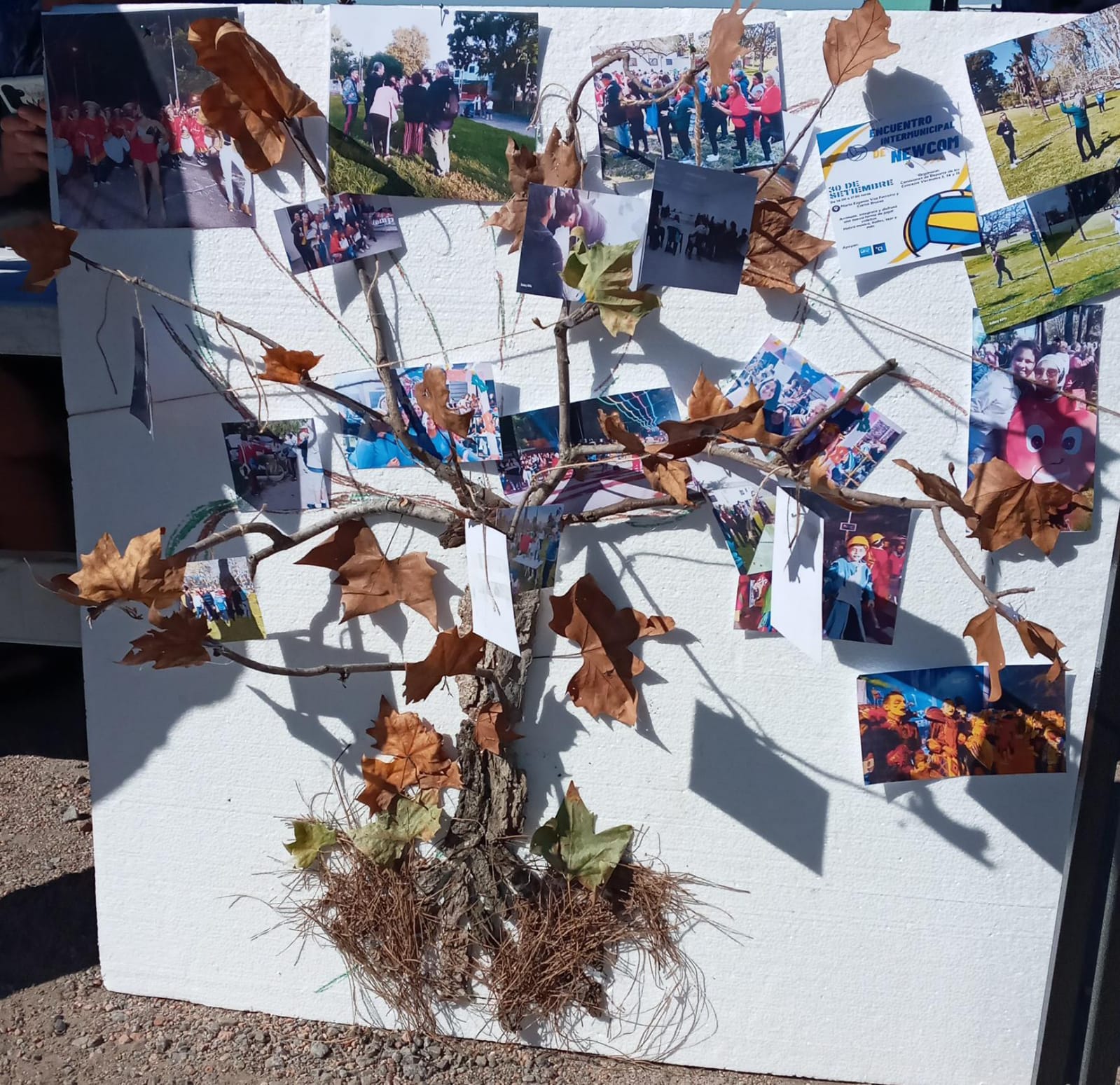 Árbol genealógico