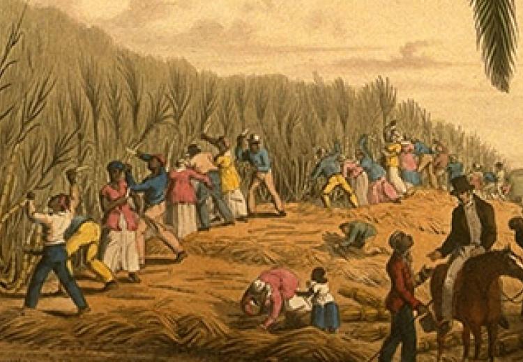 Efectos de la colonización
